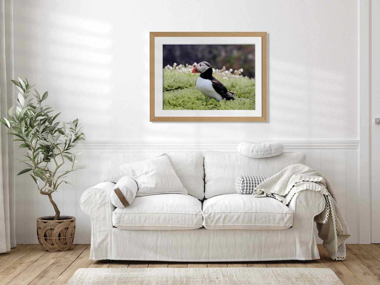 Puffin Seabird standing on green moss with a blurred natural background