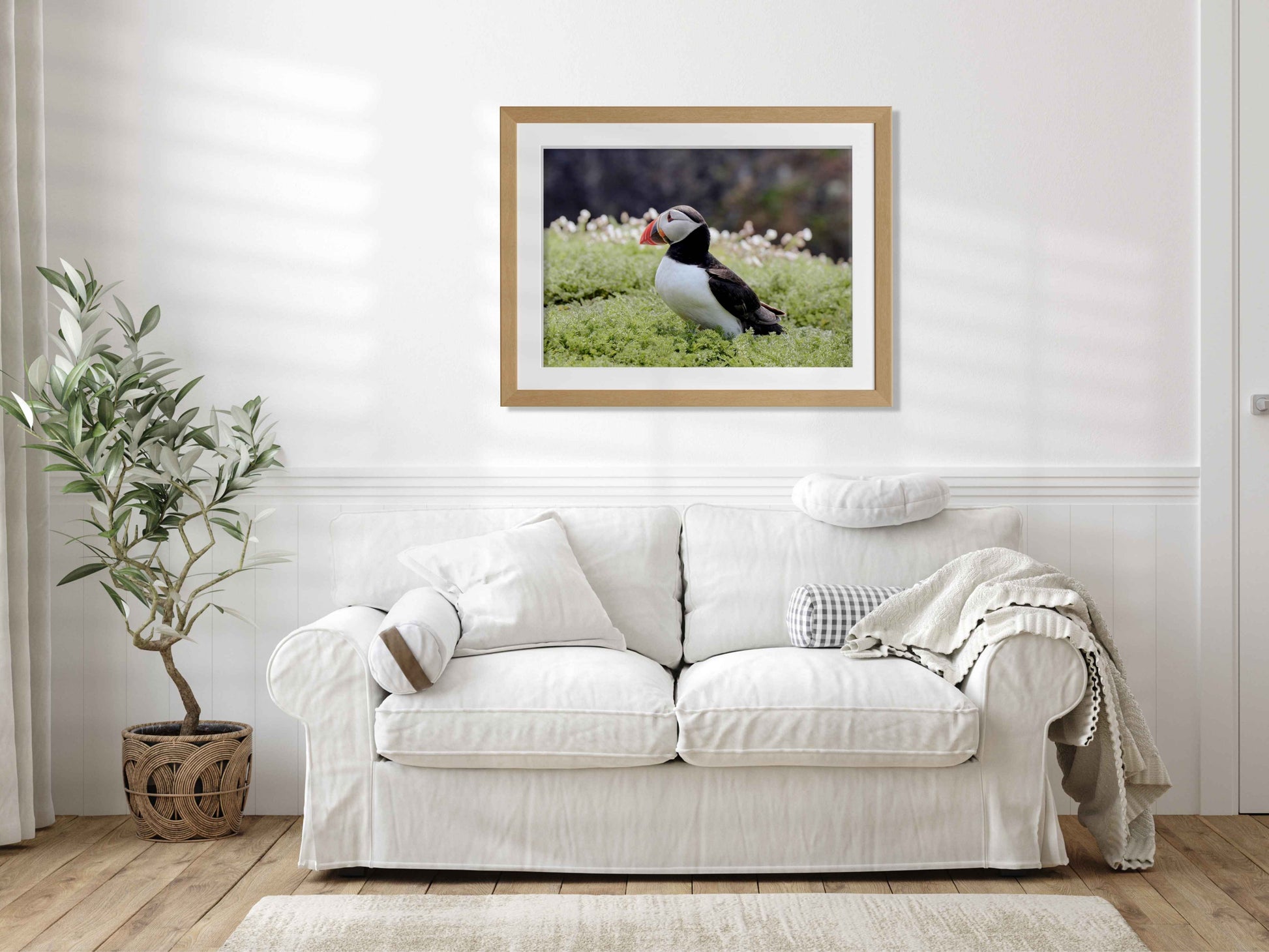 Puffin Seabird standing on green moss with a blurred natural background