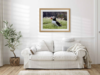 Puffin Seabird standing on green moss with a blurred natural background