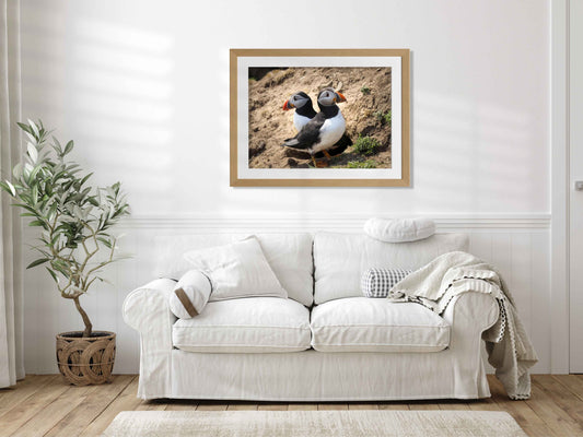 Pair of puffins on Skomer Island standing on a sandy ground with a natural background 